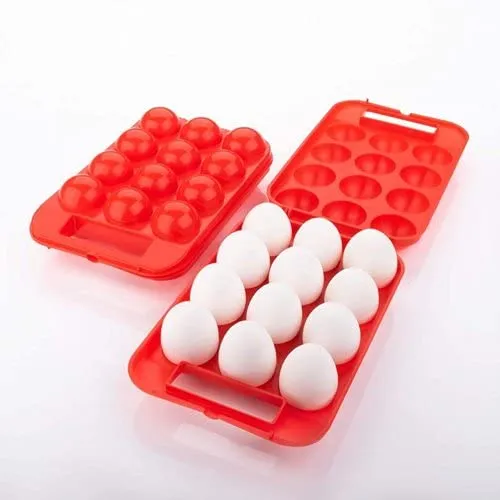 Plastic Egg Holder for Refrigerator Egg Tray with Lid, Kitchen Shockproof Plastic Egg Storage Container for Fridge, 12 Eggs Box