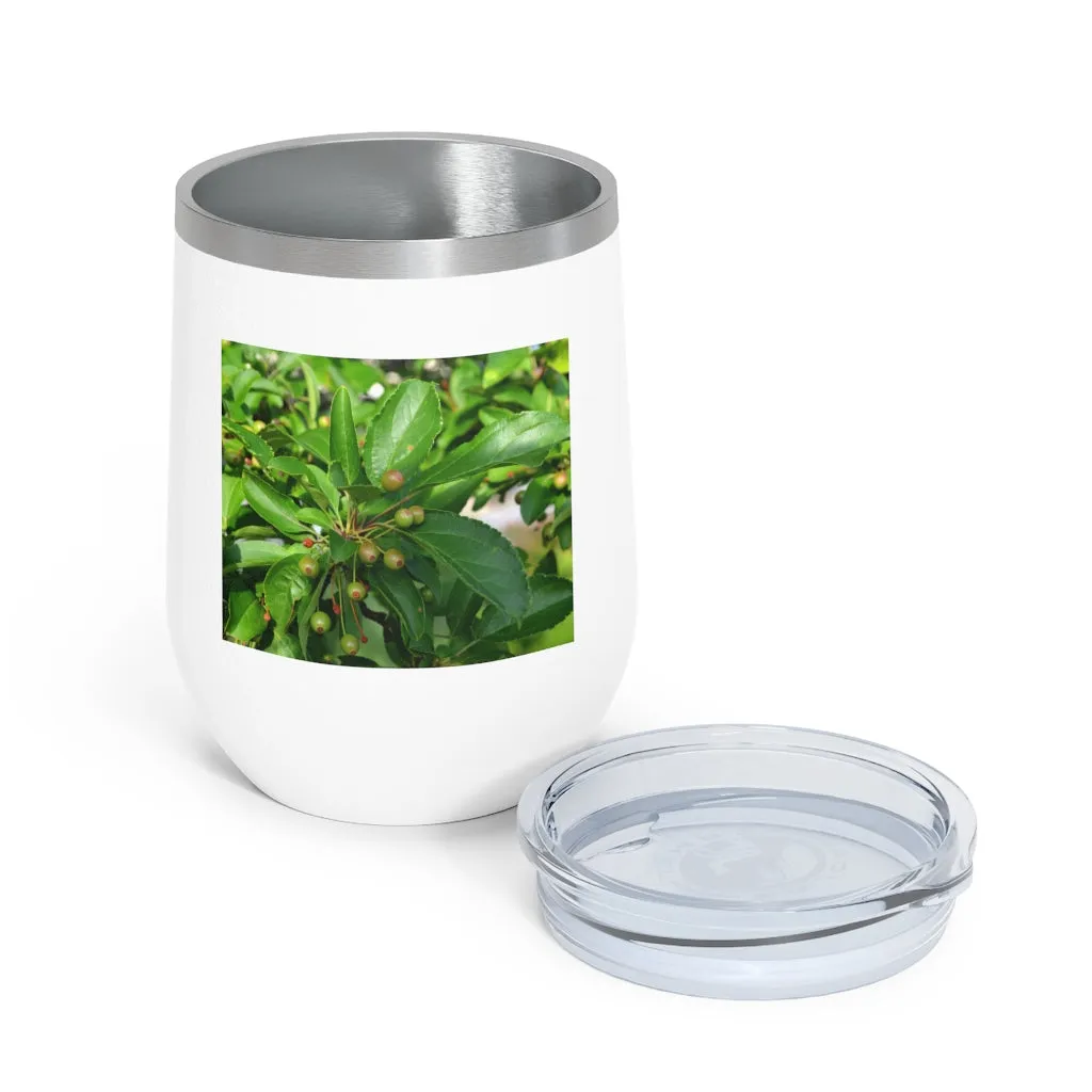 Seeds and Green Leaves 12oz Insulated Wine Tumbler