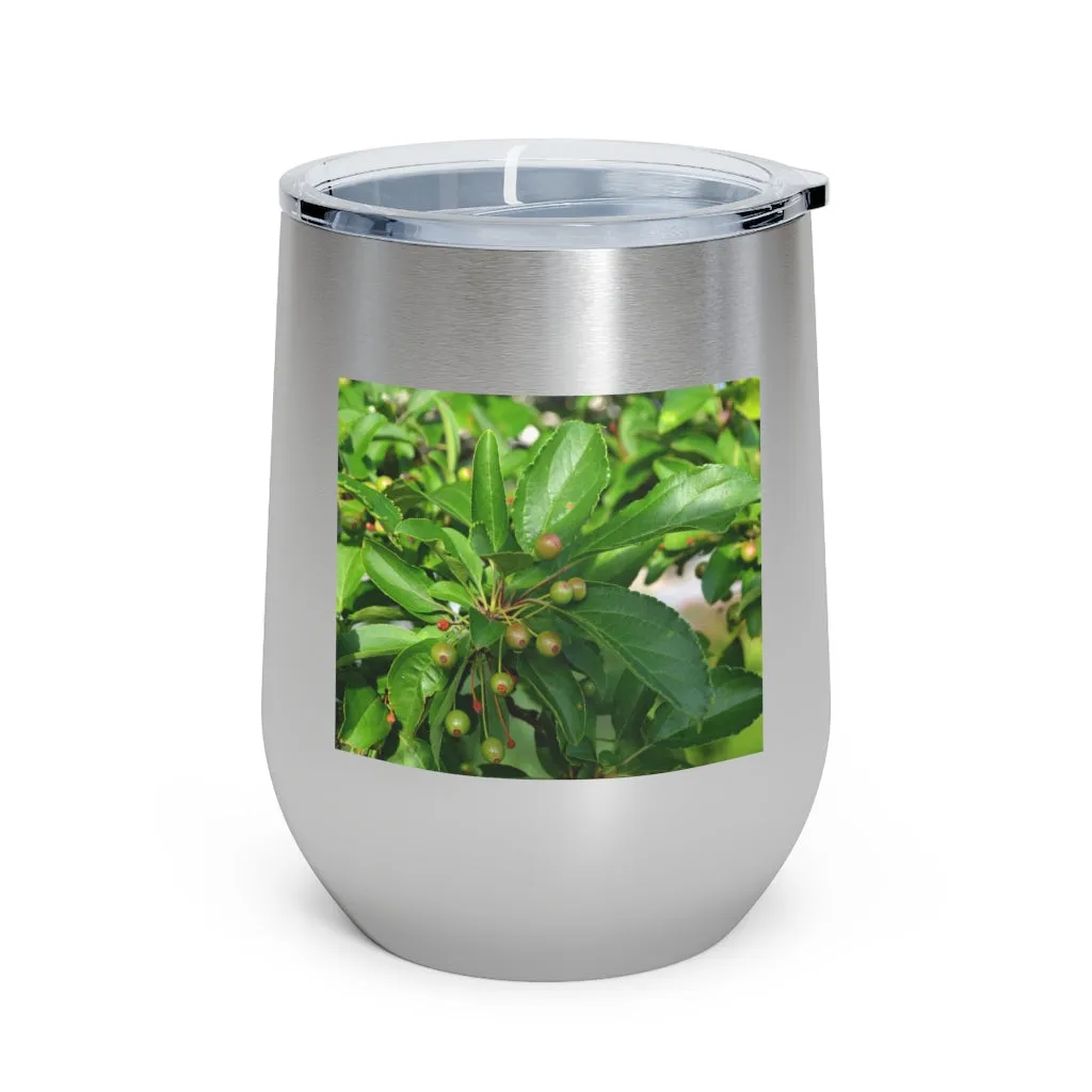 Seeds and Green Leaves 12oz Insulated Wine Tumbler