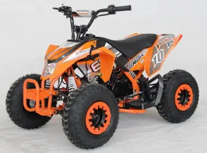 Venom Mini Madix ATV - 110cc   Reverse