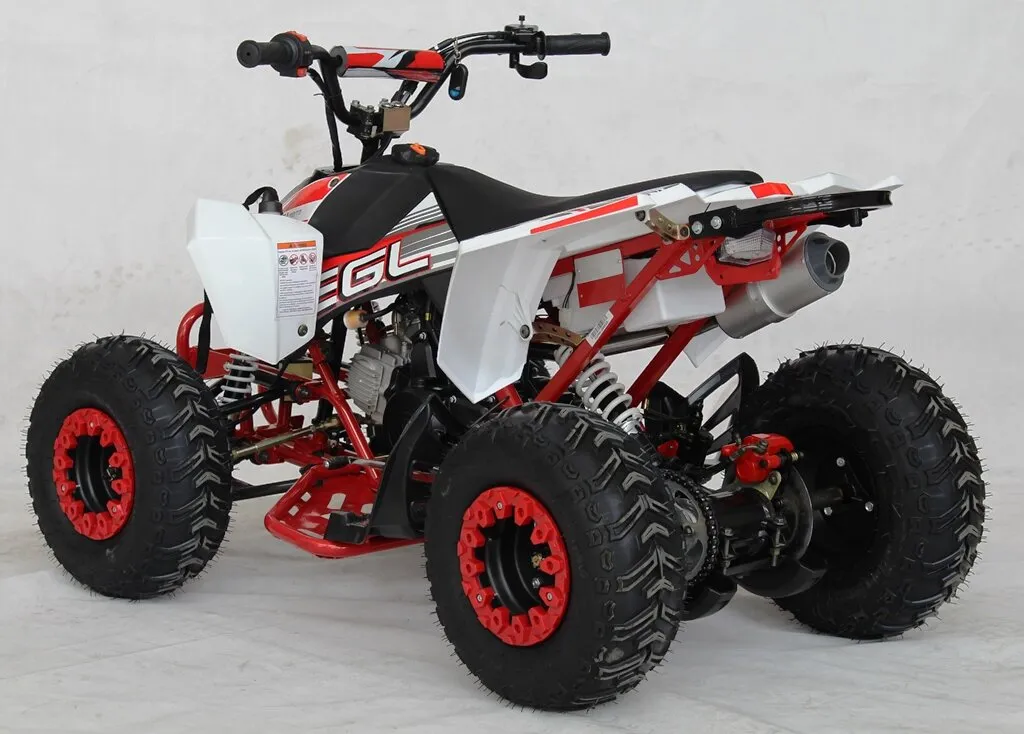 Venom Mini Madix ATV - 110cc   Reverse