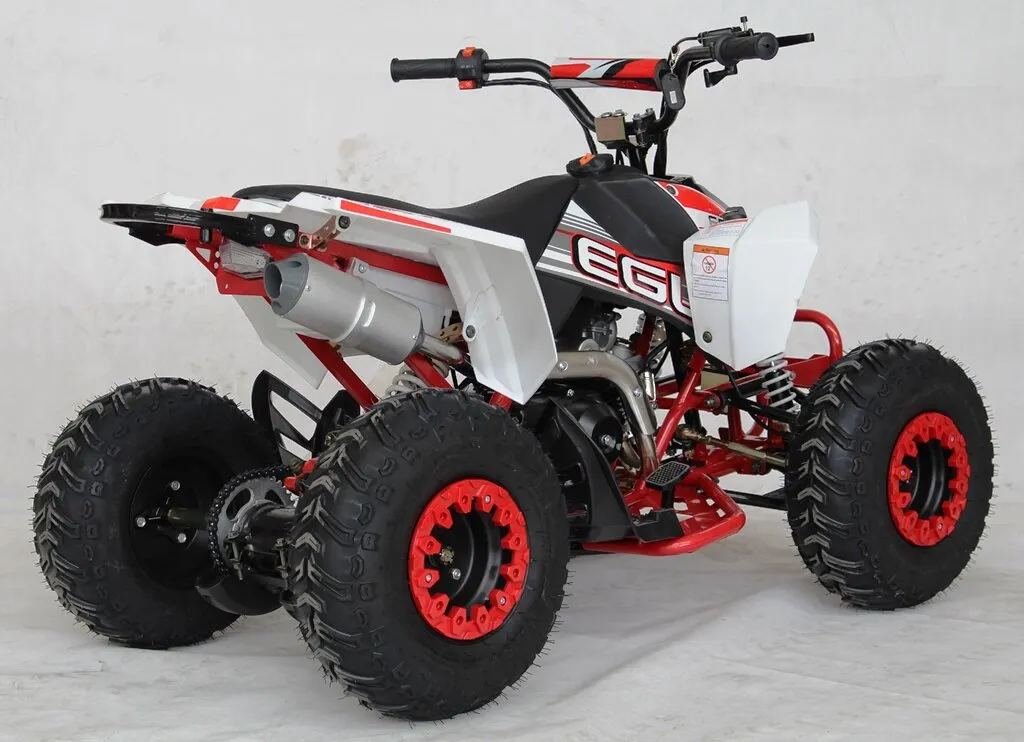 Venom Mini Madix ATV - 110cc   Reverse