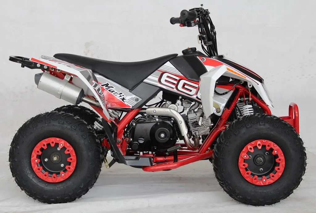 Venom Mini Madix ATV - 110cc   Reverse