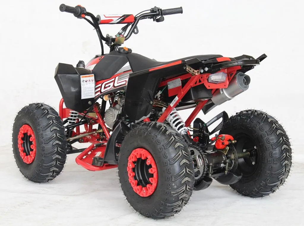 Venom Mini Madix ATV - 110cc   Reverse